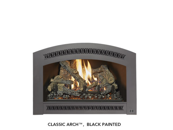 Stock Image - Fireplace X Gas Insert Traditional