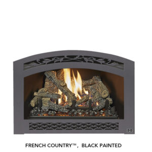 Stock Image - Fireplace X Gas Insert Traditional