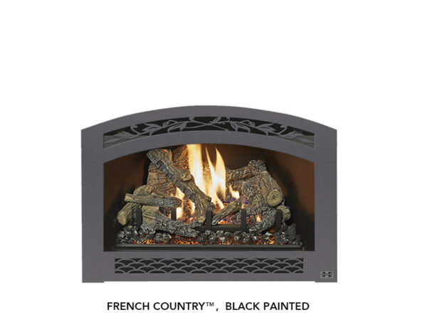 Stock Image - Fireplace X Gas Insert Traditional