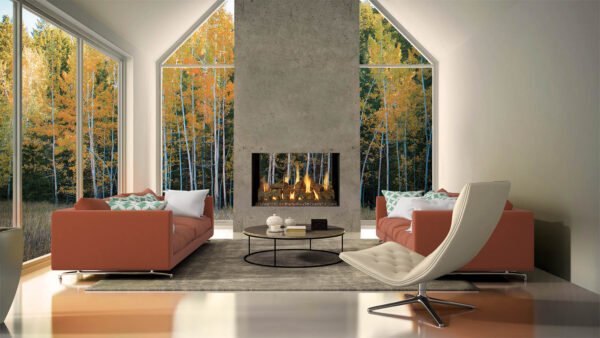 Stock Image - DaVinci Gas Fireplace|Outdoor Fire See-Thru