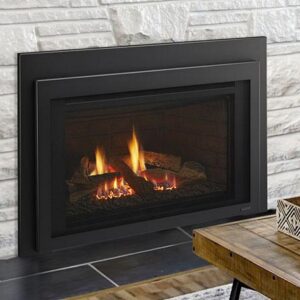 Stock Image - Majestic Gas Insert