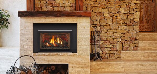 Stock Image - Majestic Gas Insert