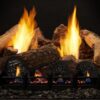 Stock Image - Monessen Gas Log Set & Burner