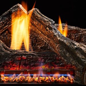 Stock Image - Monessen Gas Log Set & Burner